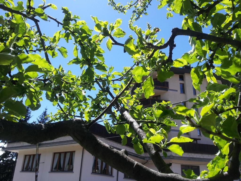 La Torretta Hotel Challand-Saint-Anselme Zewnętrze zdjęcie